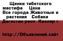 Щенки тибетского мастифа. › Цена ­ 30 000 - Все города Животные и растения » Собаки   . Дагестан респ.,Кизляр г.